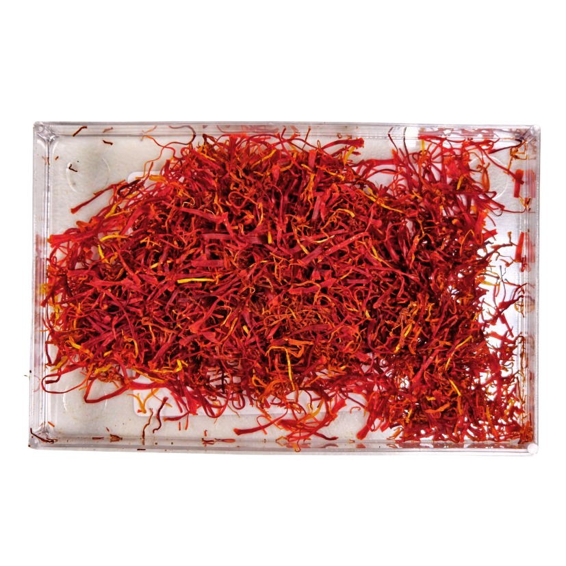 [485] SAFFRON 4G (12)